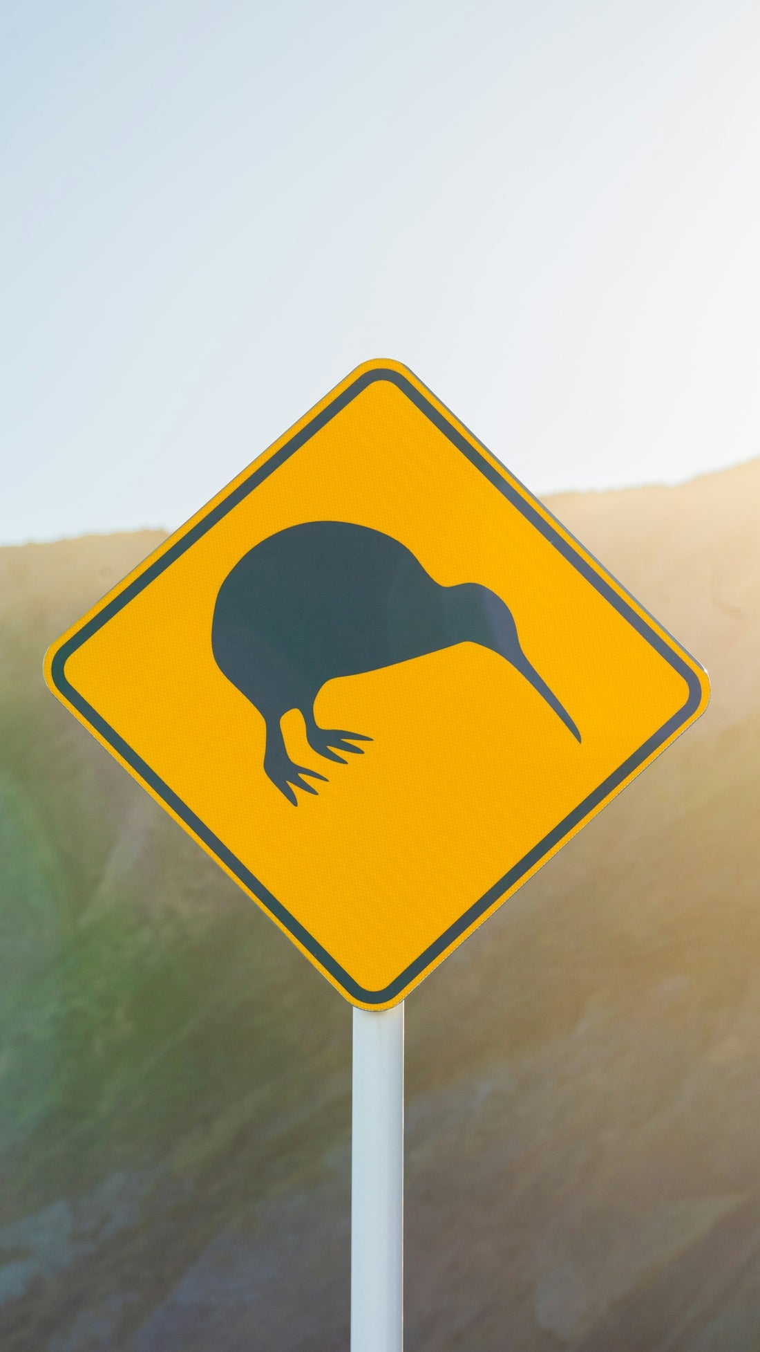 Kiwi crossing sign.